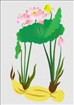 莲花