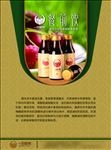 酵素宣传海报