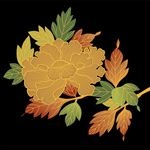 花纹壁纸