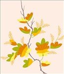花纹壁纸