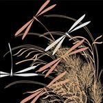 花纹