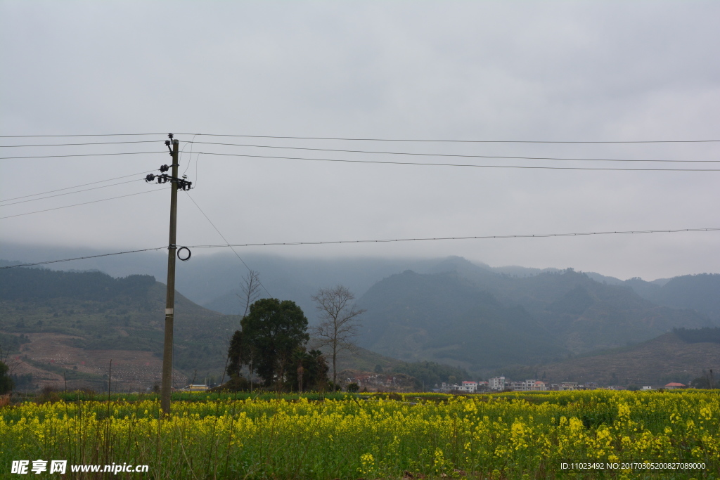 乡村美景