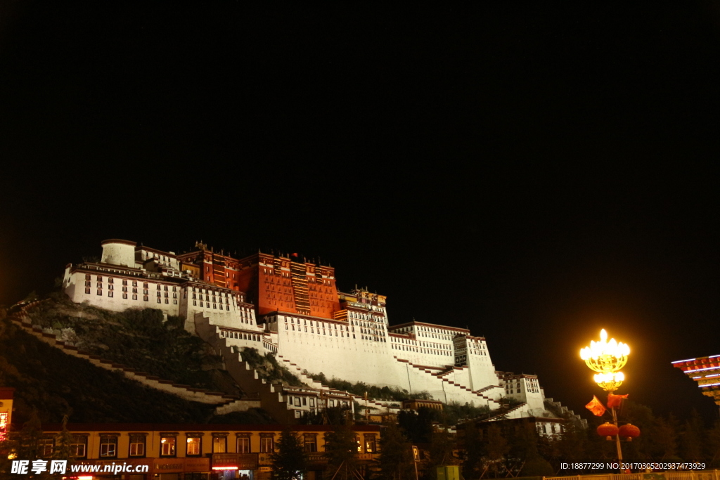 布达拉宫夜景