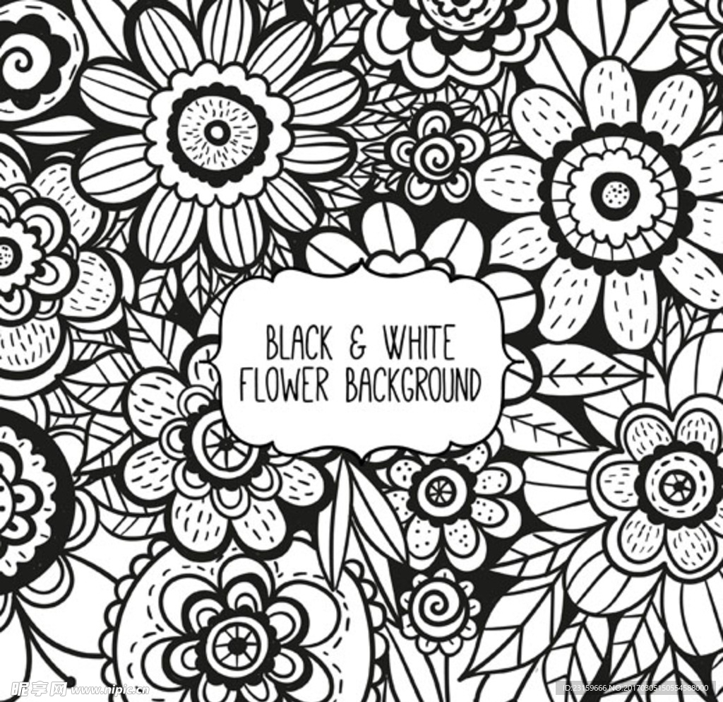 黑白春季花卉线稿插图