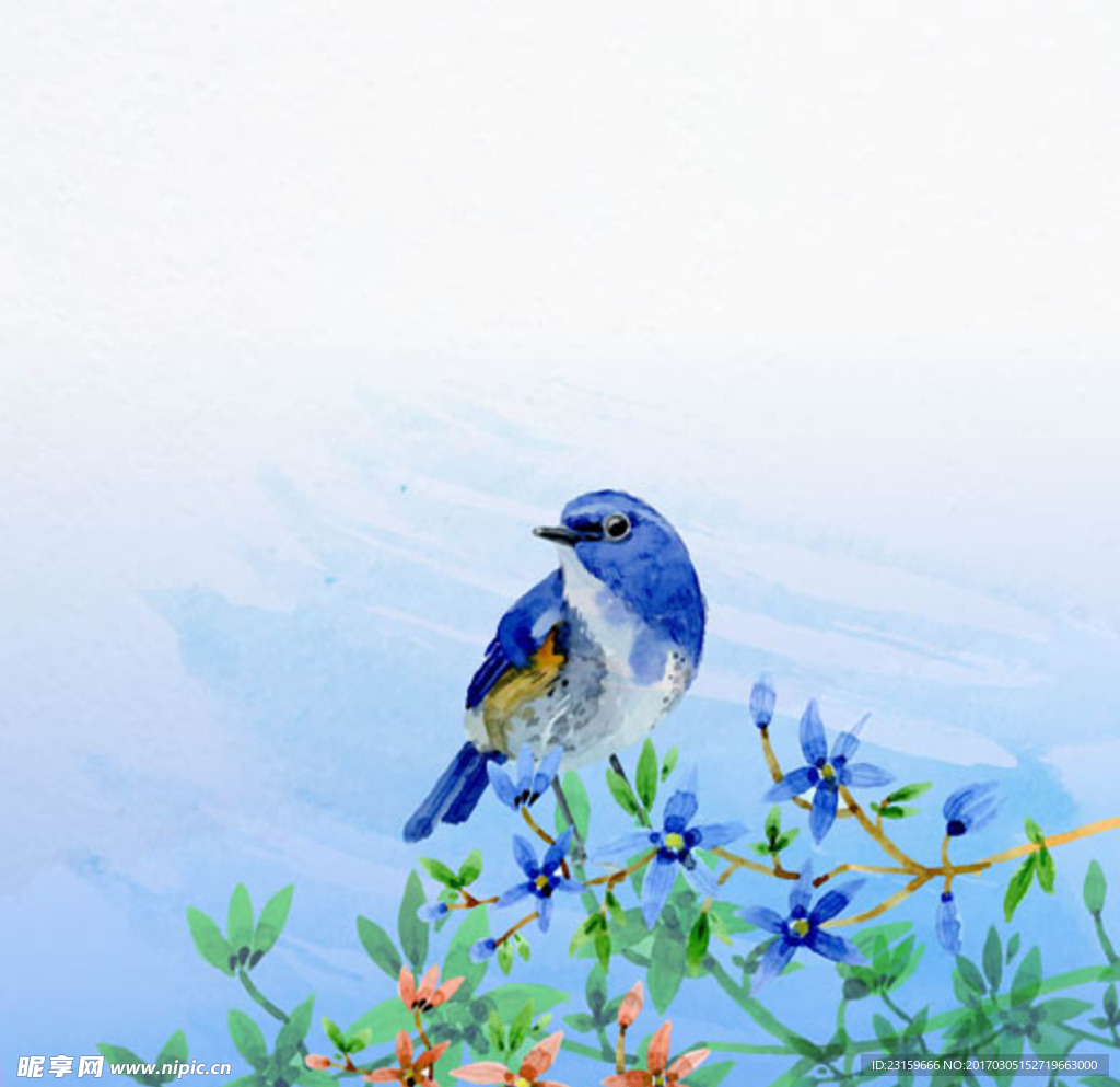 水彩春季花鸟插图