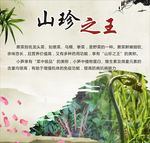山珍之王 蕨菜