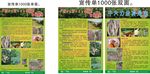 牛大力宣传单