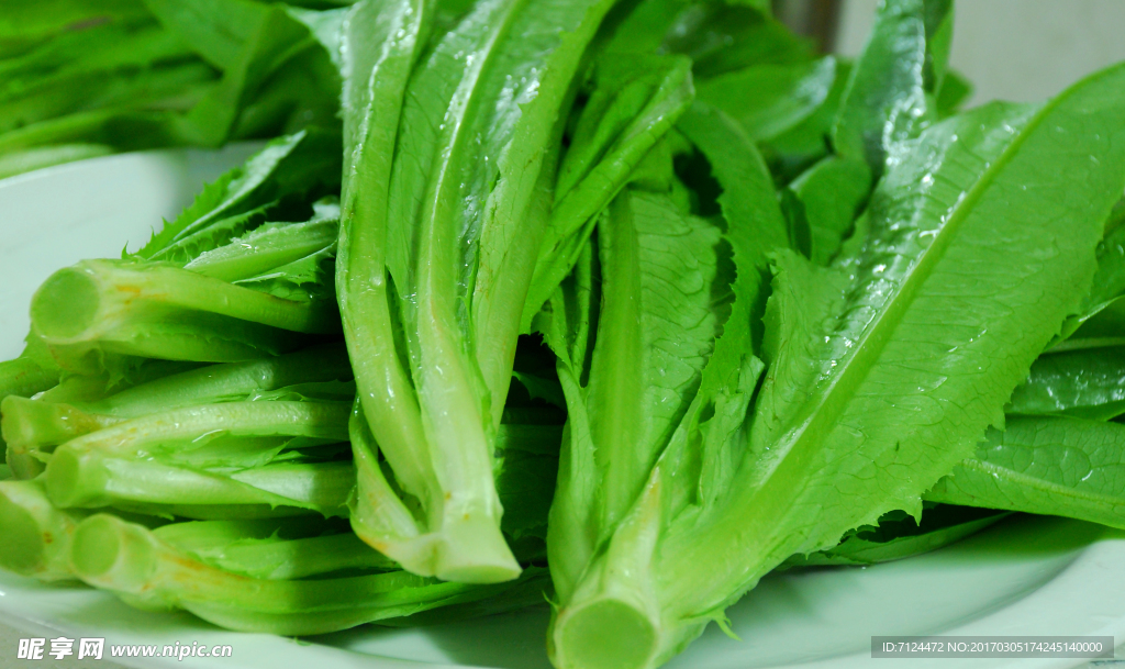青菜
