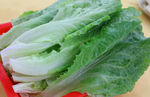 青菜