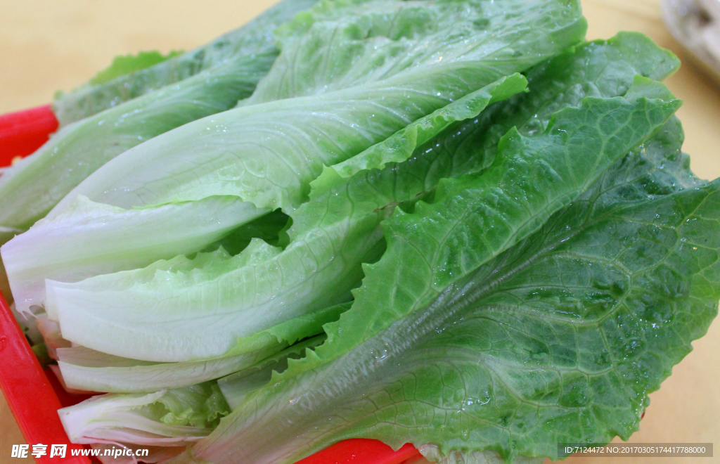 青菜