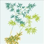 花纹壁纸