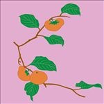 花纹壁纸