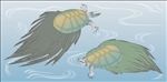 老鳖图案