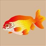手绘金鱼