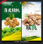 核桃
