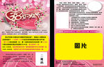 38妇女节彩页