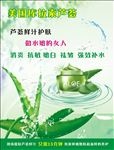 芦荟海报