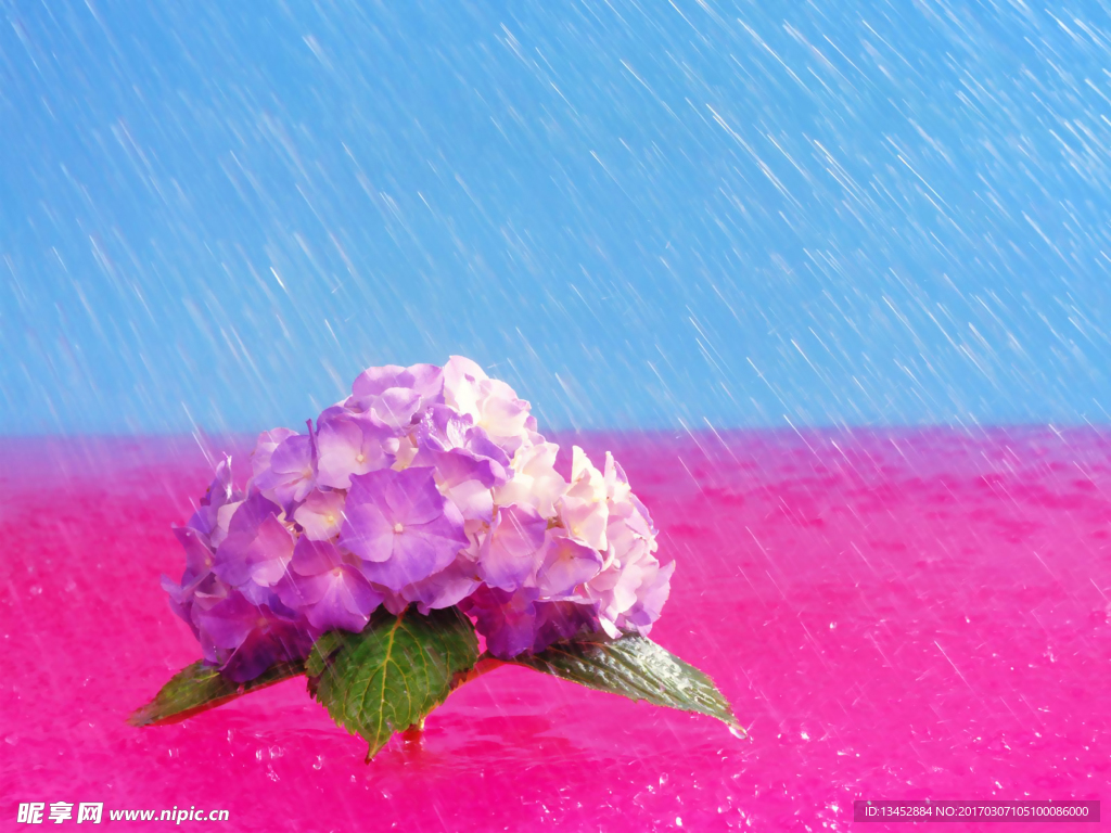 鲜花