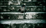 台阶上的小猫