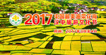 2017年菜花节
