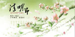 清明节踏青赏花