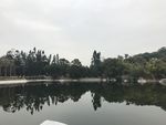 厦门植物园
