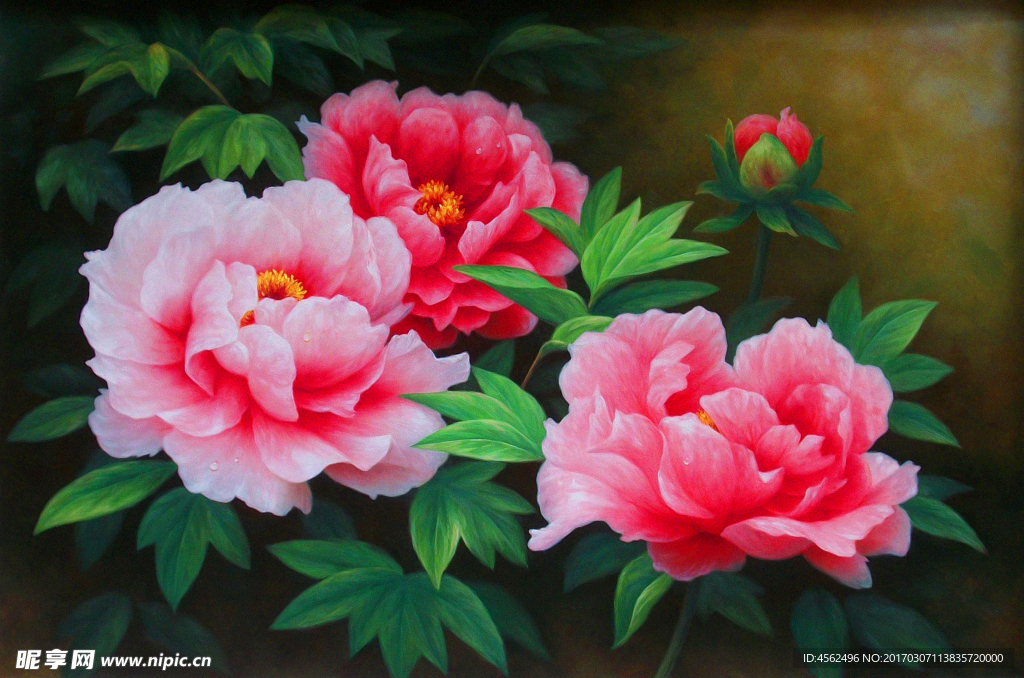 牡丹油画