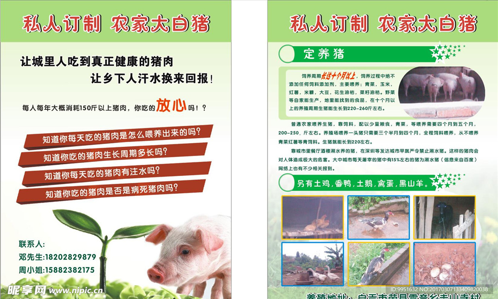 猪 溜溜宣传单