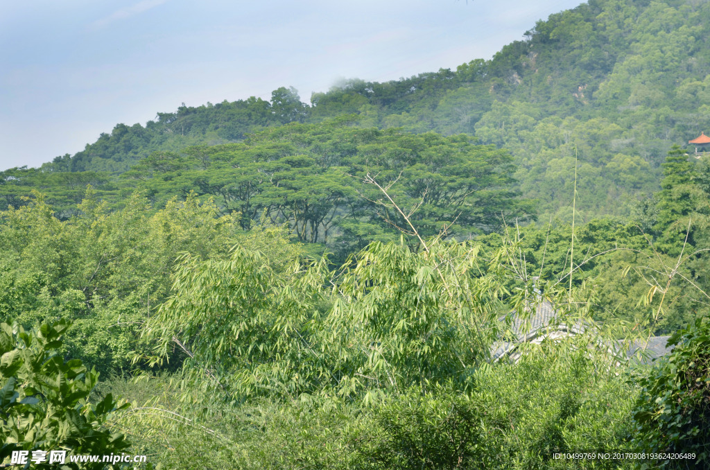 自然风景