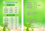 养发宣传单