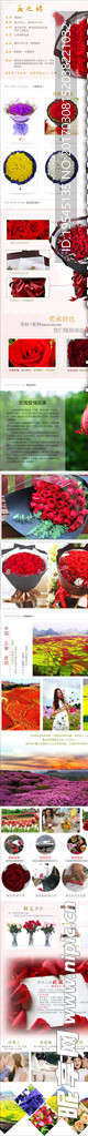 玫瑰花产品详情页