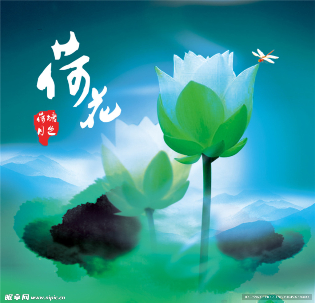 荷花