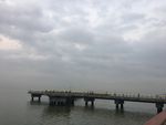 深圳湾海岸边