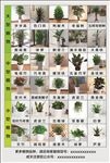 植物宣传单