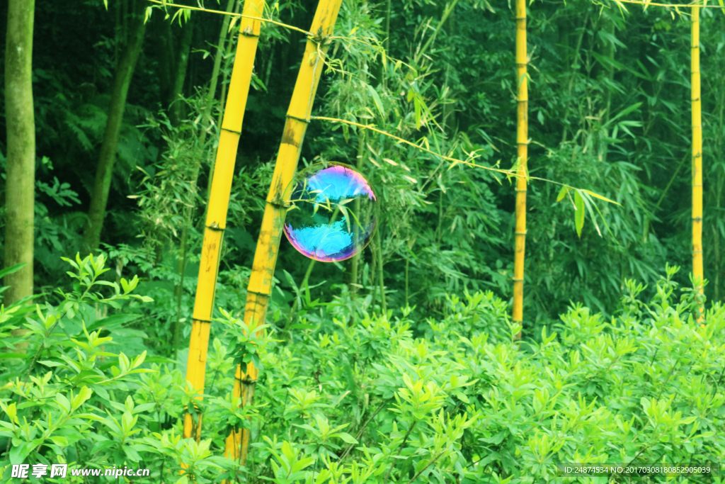 竹林物语