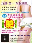 减肥彩页