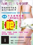 减肥彩页