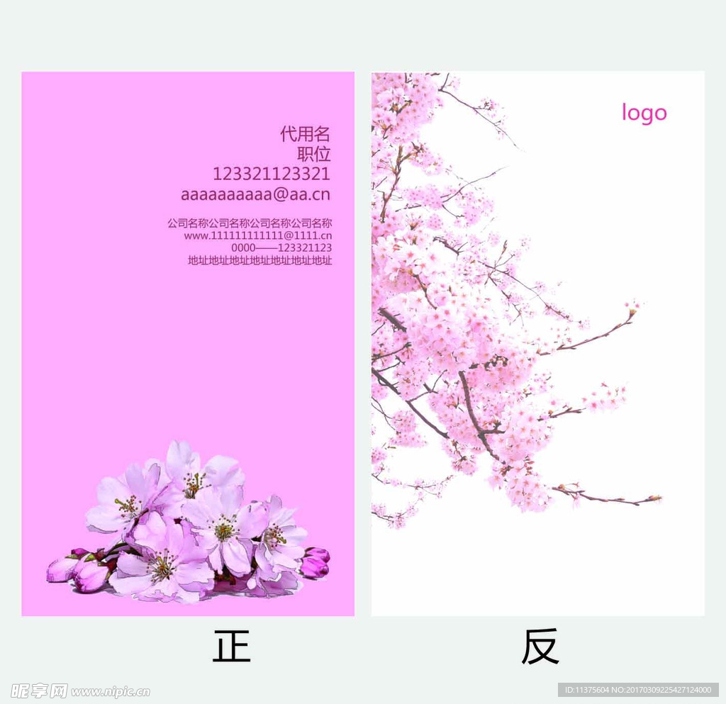 樱花名片
