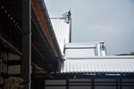 积雪的屋顶