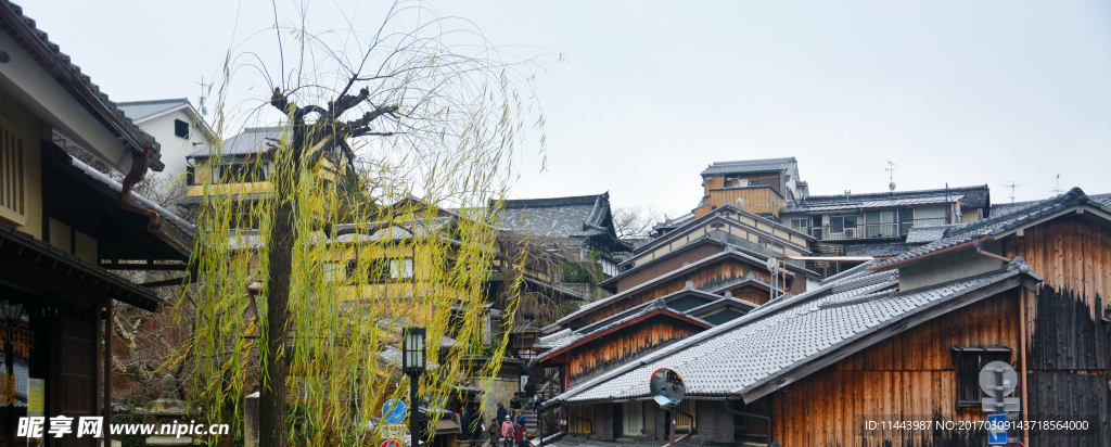 屋顶
