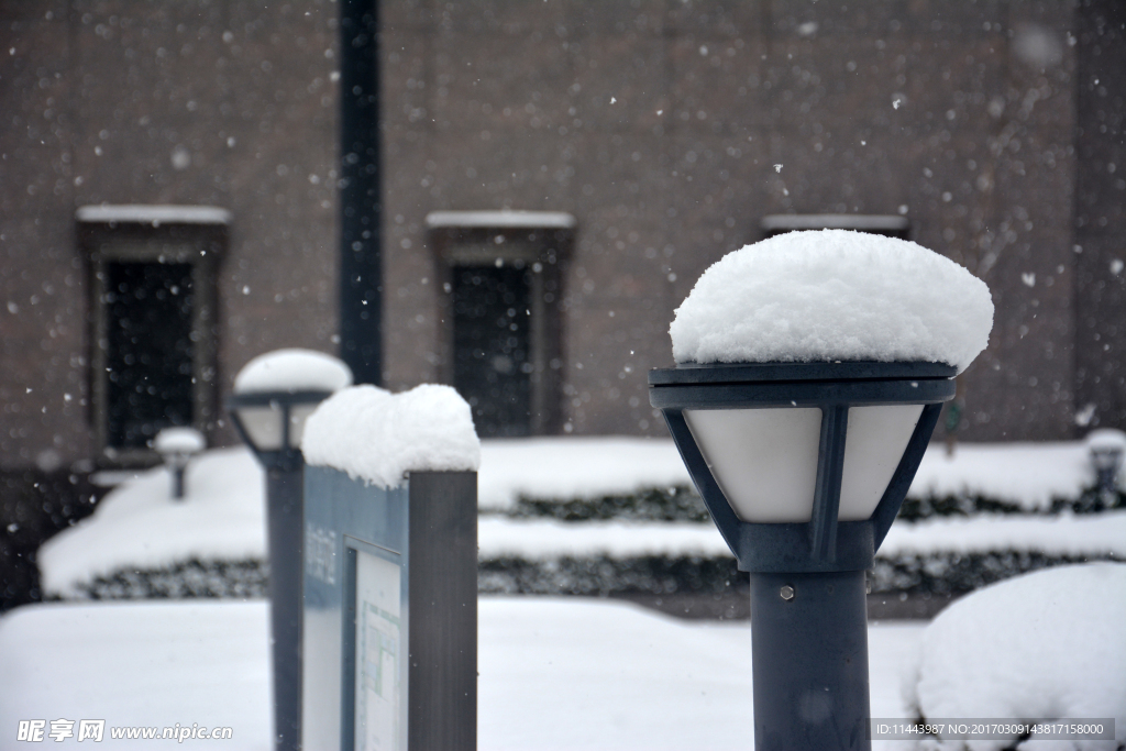 积雪 灯柱