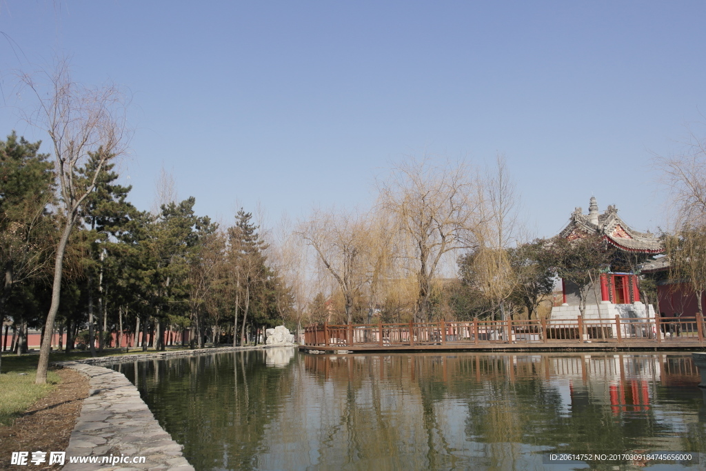 公园美景