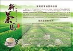 茉莉花茶