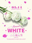 白色情人节