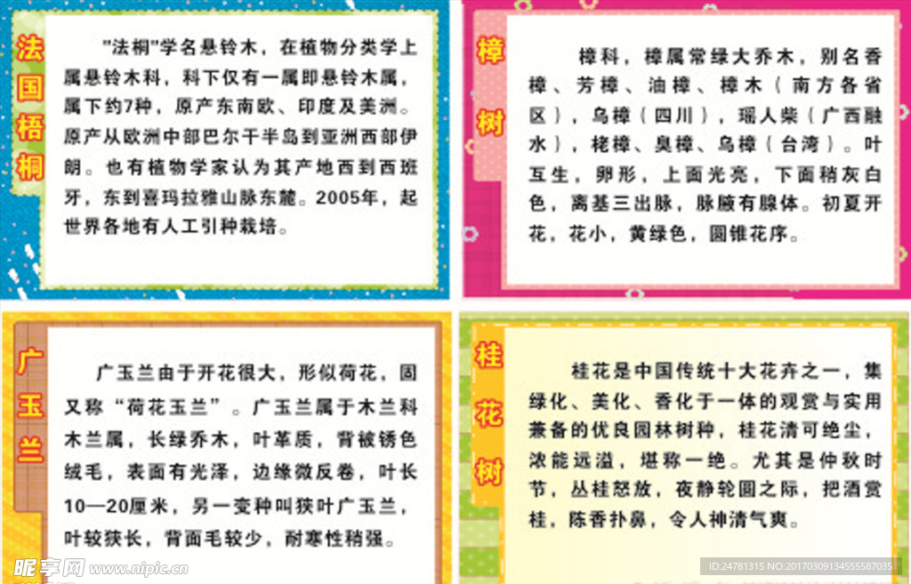 小学树木