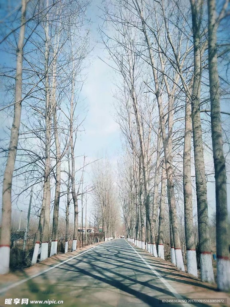 美丽风景