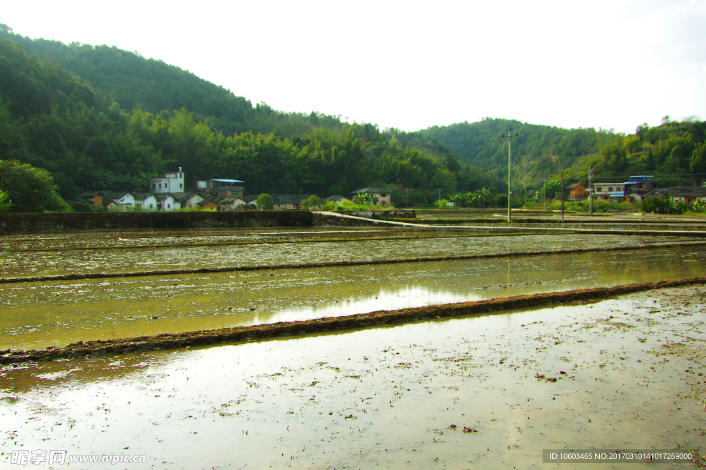 田园风光 春耕时节