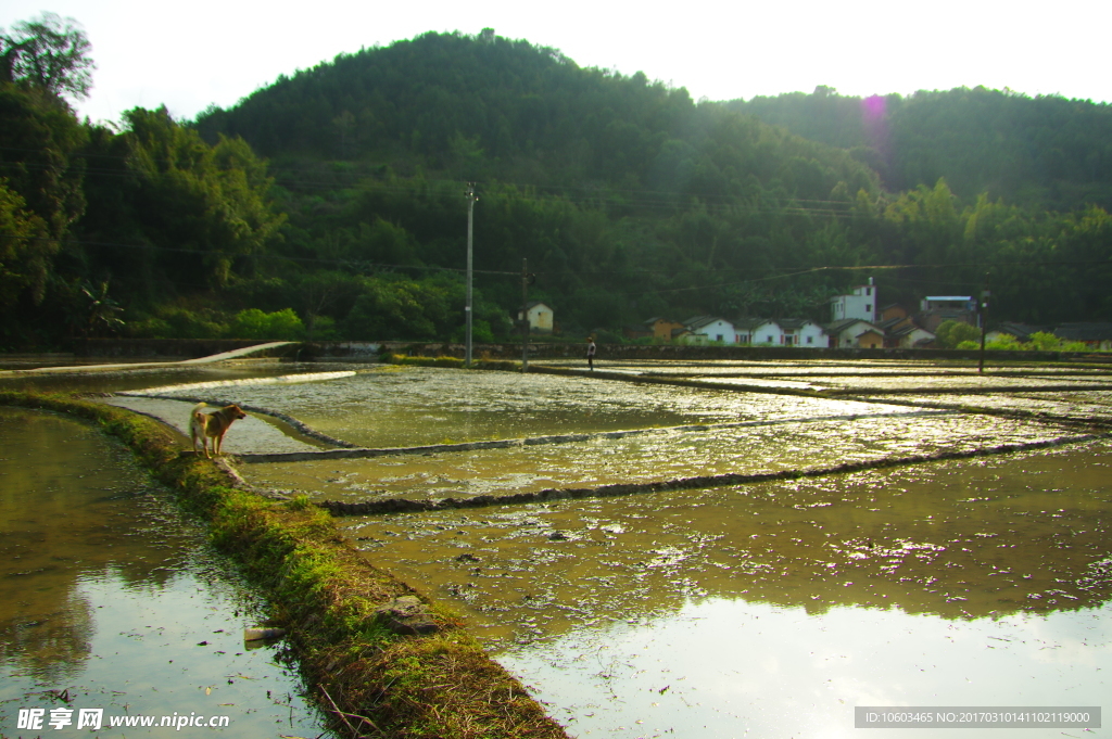 田园风光 挽水西流