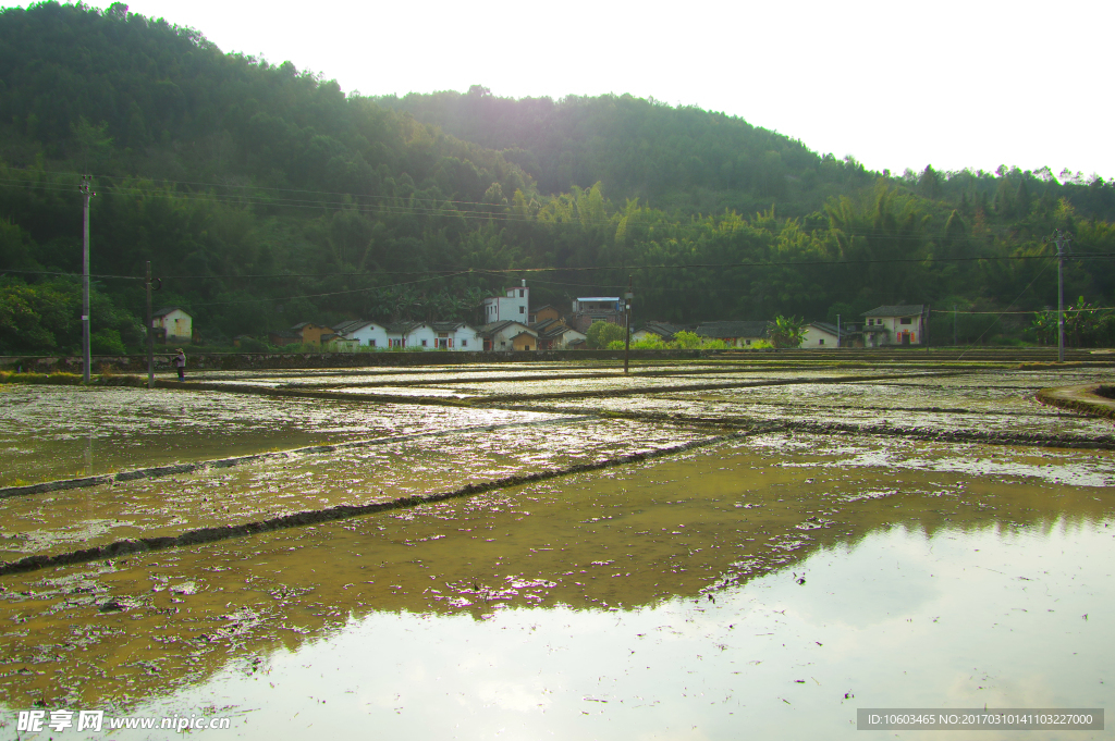 田园风光 春耕时节