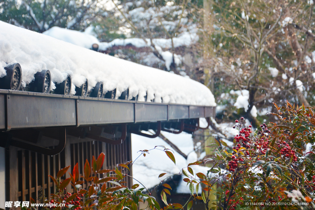 积雪的屋顶